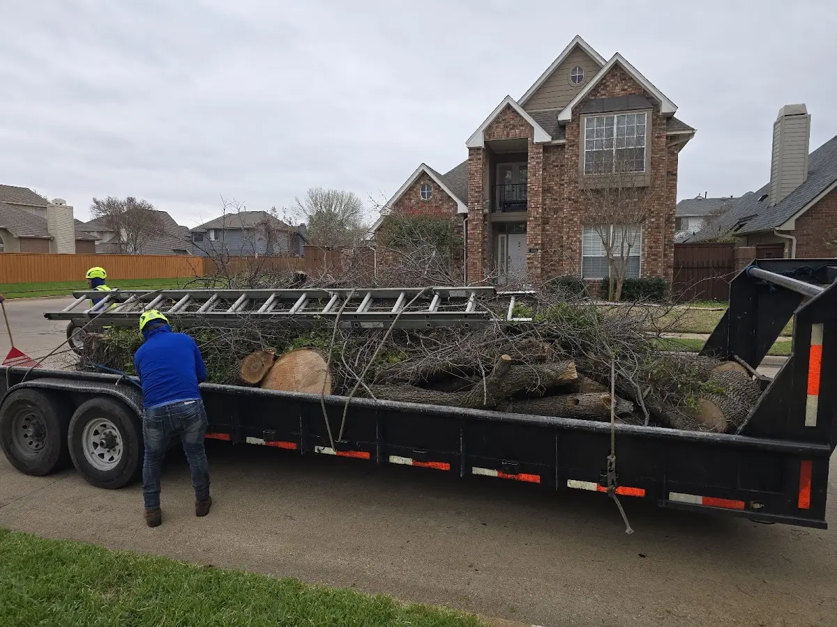 Expert Tree Fertilization with proper safety equipment in Scottsburg